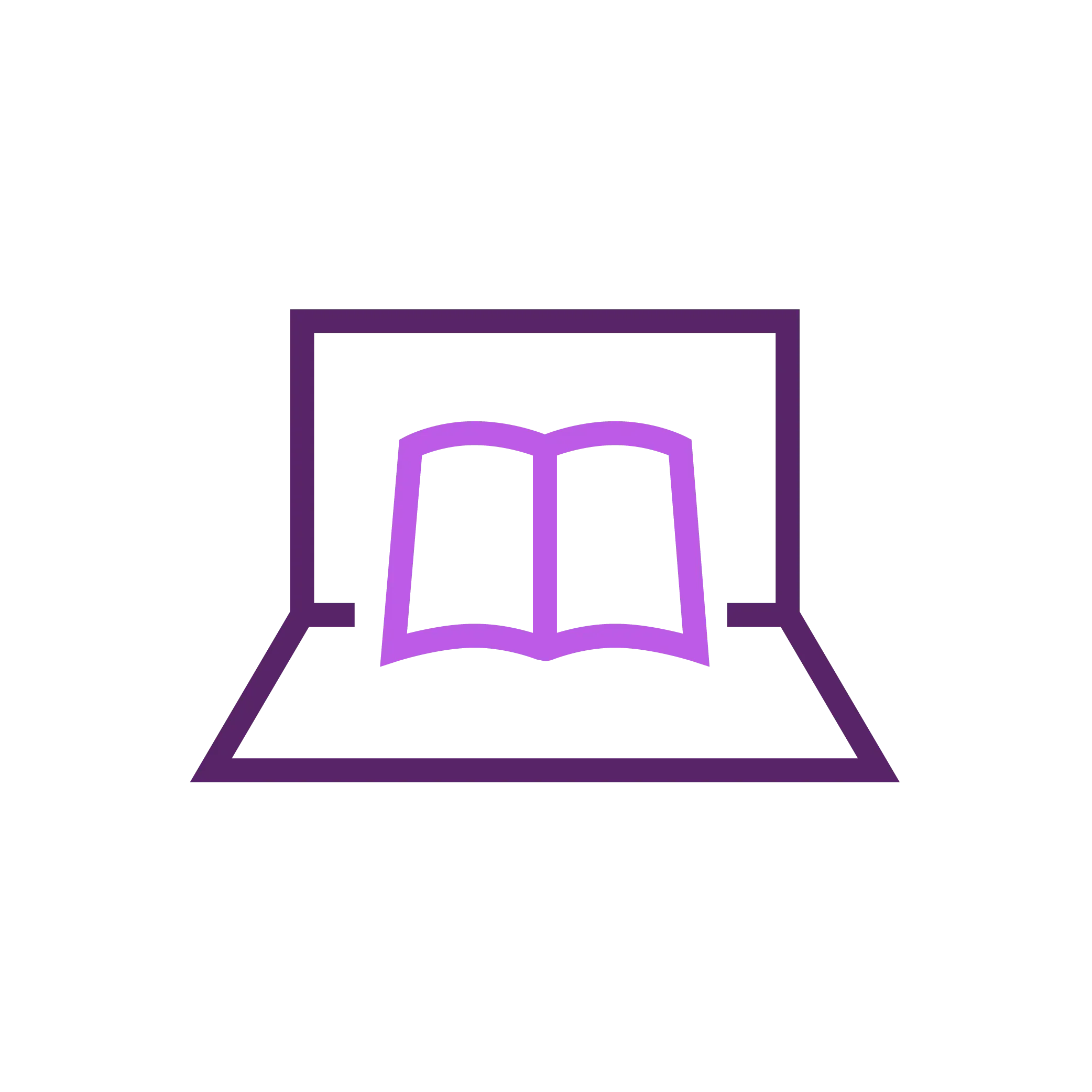Programme implementation