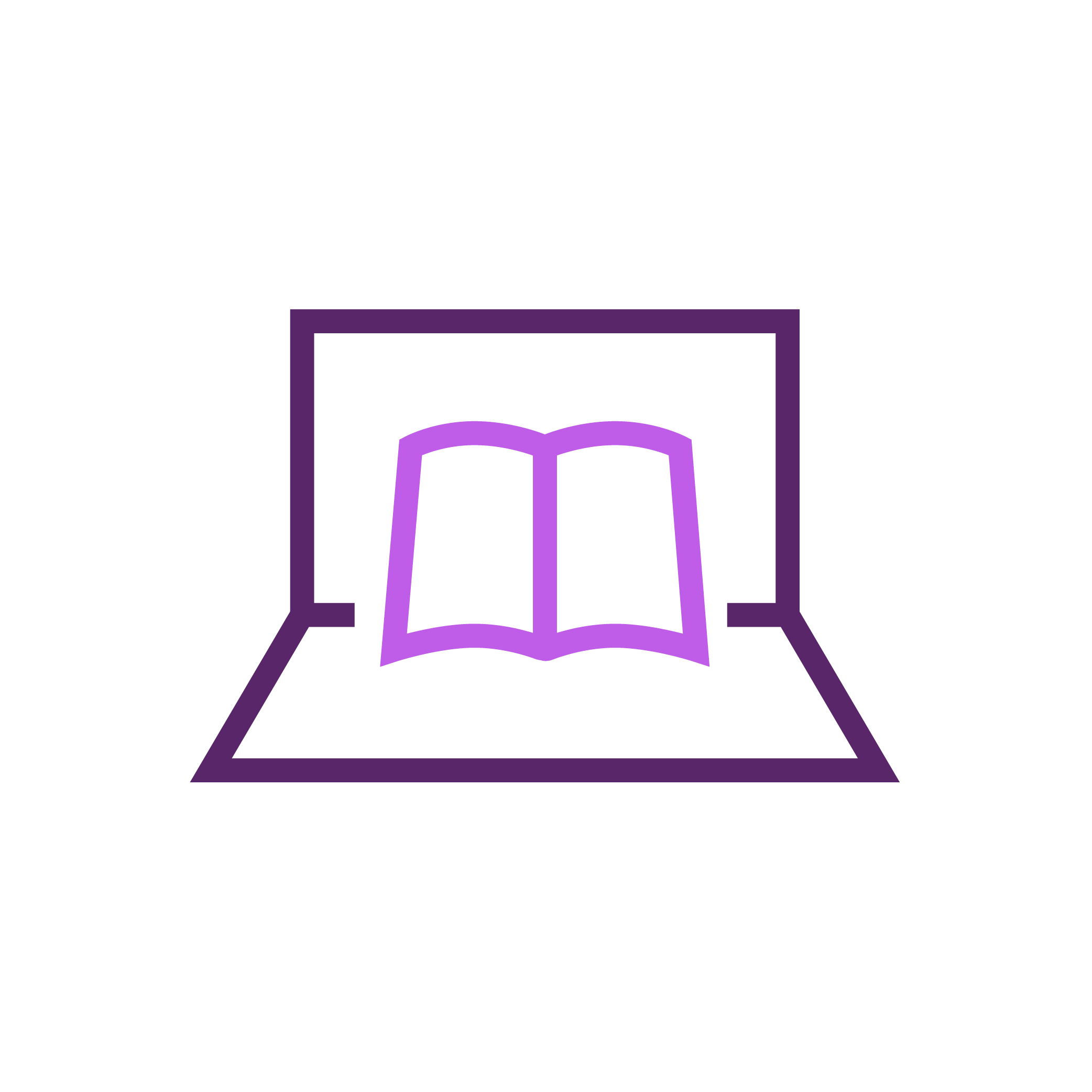 Programme implementation