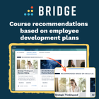 Bridge LMS: Revolutionising Skills Development with AI-Powered Features