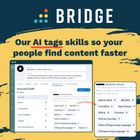 Bridge LMS: Revolutionising Skills Development with AI-Powered Features