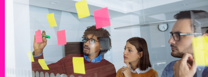 Coaching & Mentoring for High-Performing Teams Course Bundle