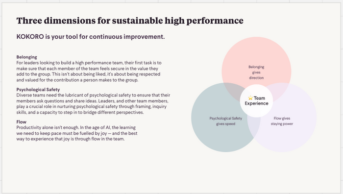 Anchor and Operationalise Leadership Skills in Practice and Workflows - It is the only way to beat the knowing and doing gap
