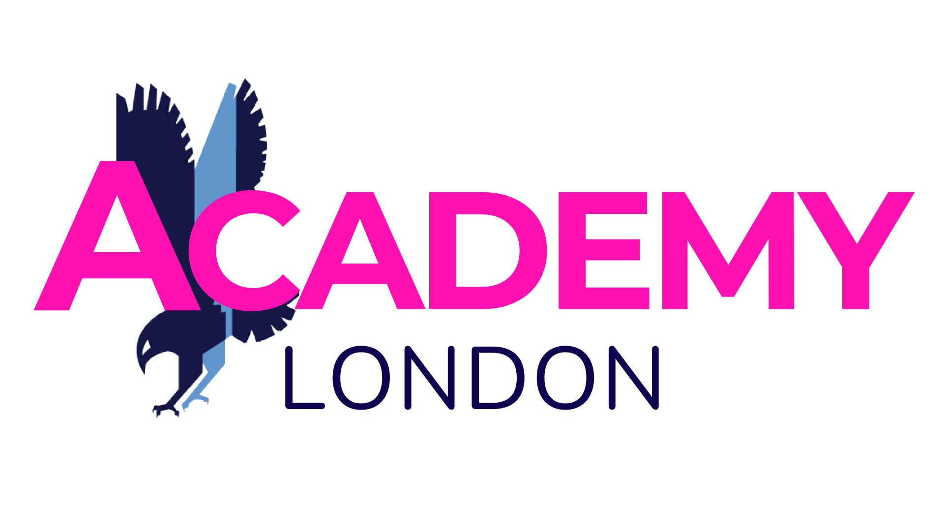 Hawk Academy London