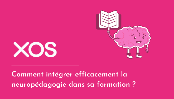 Comment intégrer efficacement la neuropédagogie dans sa formation ?
