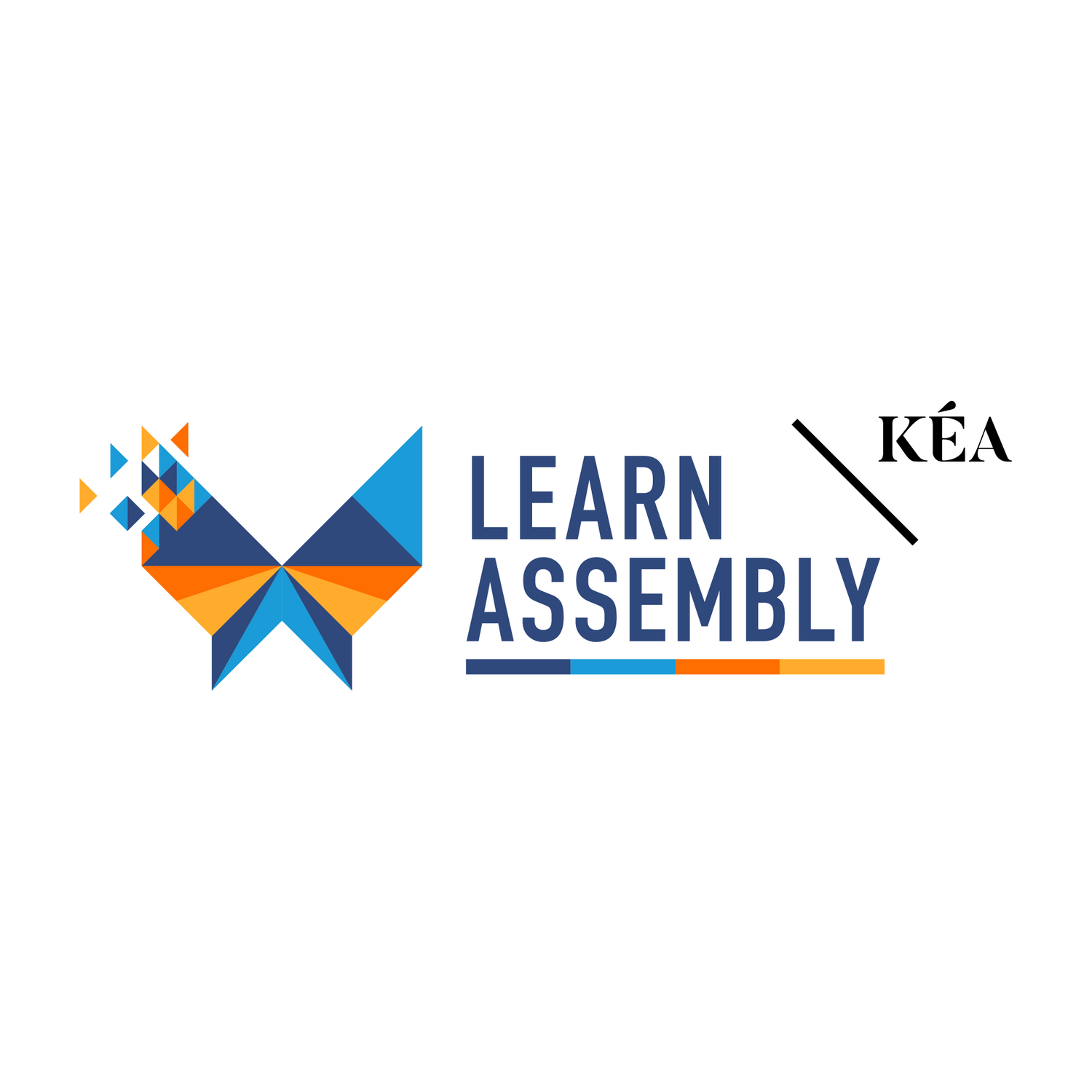 LEARN ASSEMBLY