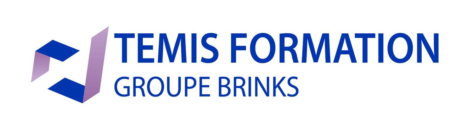 TEMIS FORMATION GROUPE BRINK'S