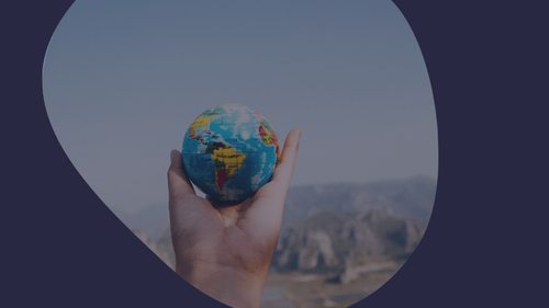 Plateformes de formation multilingues : la solution pour former tous vos apprenants à l’international
