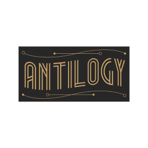 ANTILOGY SAS