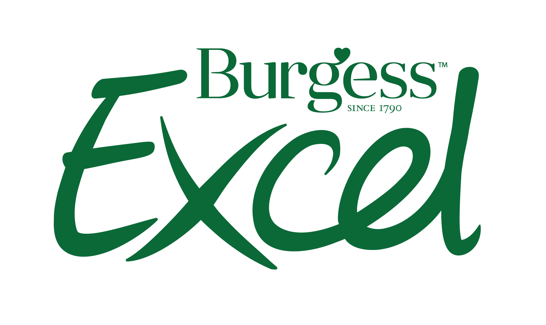 Burgess Pet Care London Vet 2022