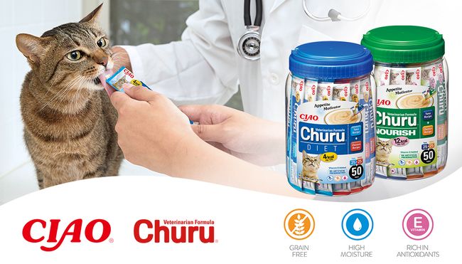 Introducing Churu Vet to the European veterinary world!