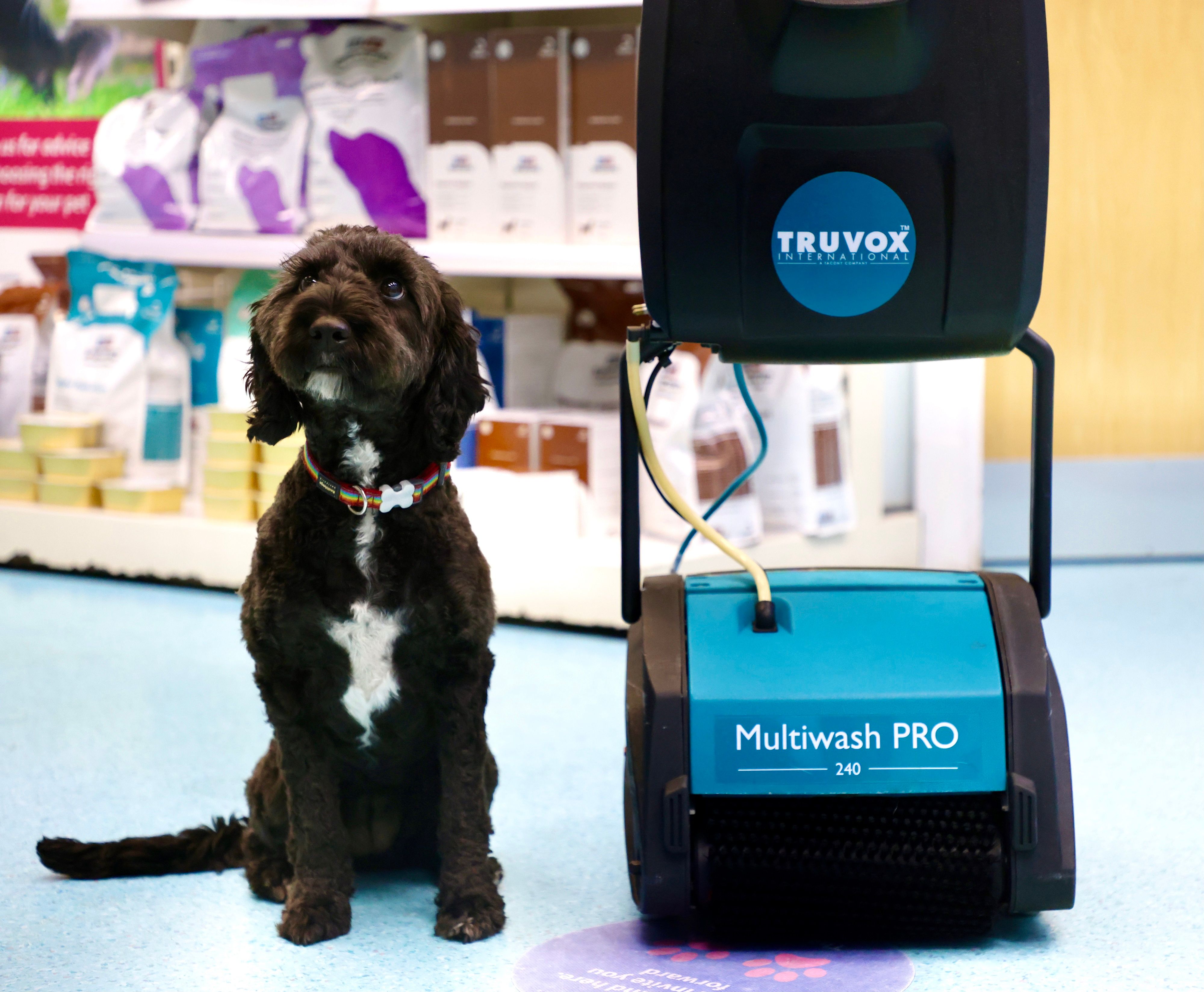 Guaranteeing health and hygiene in a veterinary environment