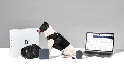 DINBEAT WILL PRESENT ITS LATEST INNOVATIONS IN PET TECH PRODUCTS AT LONDON VET SHOW 2022