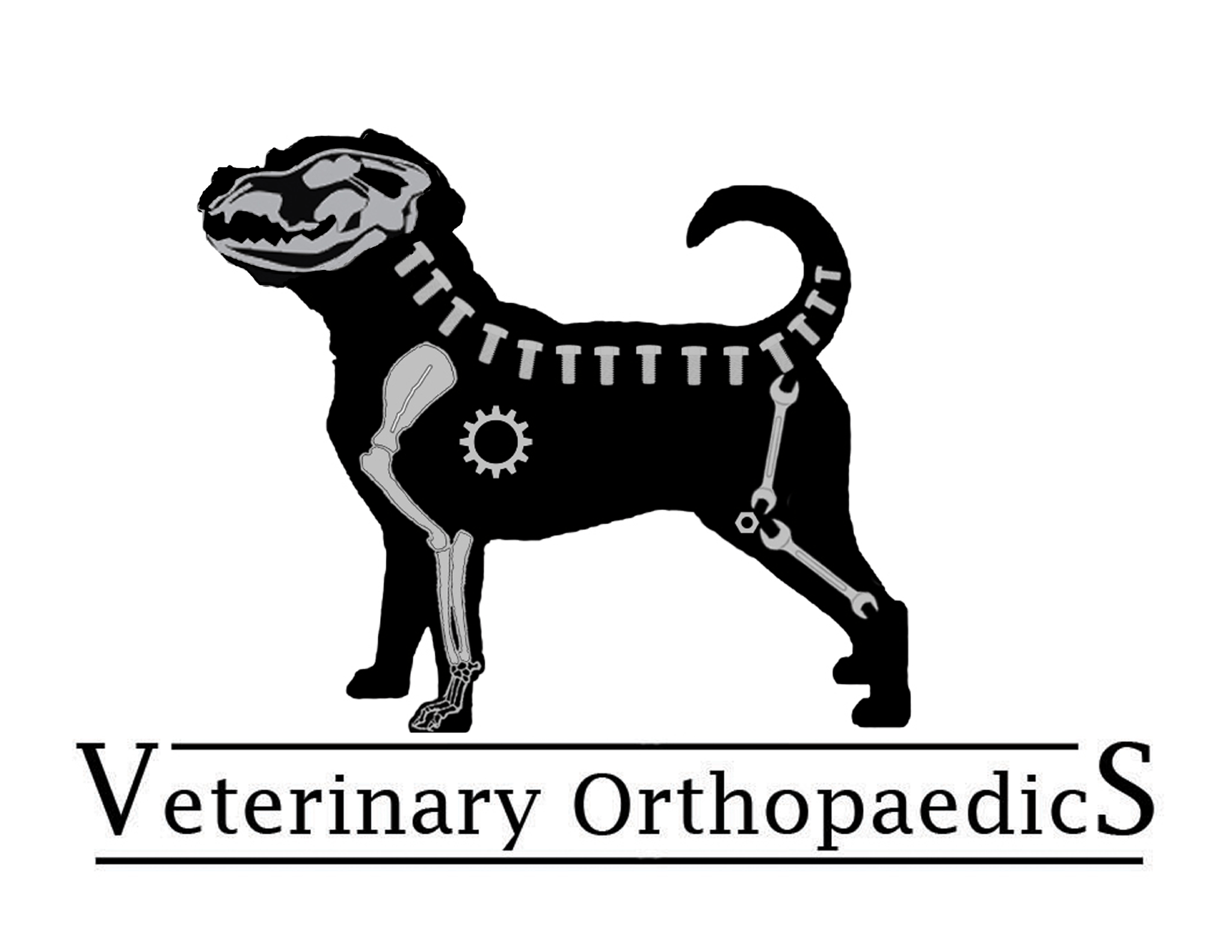 Veterinary Orthopaedics