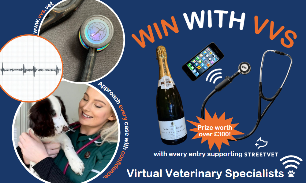WIN AN EKO DIGITAL STETHOSCOPE AND BOTTLE OF CHAMPAGNE WITH VVS!