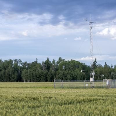 Environmental Sensors