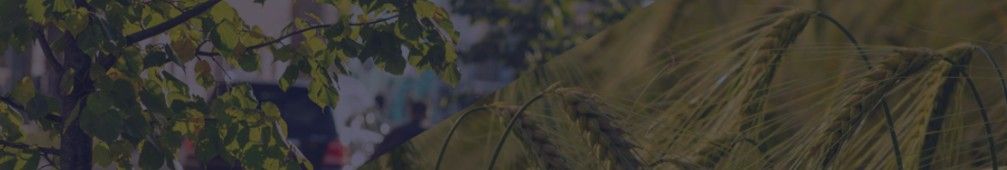 Agvolution GmbH