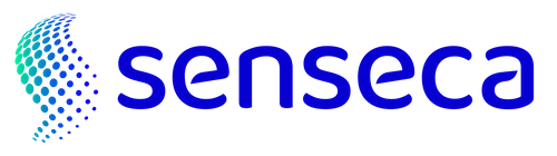 Senseca Italy Srl