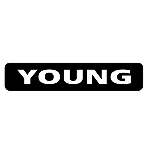 R.M. Young Company