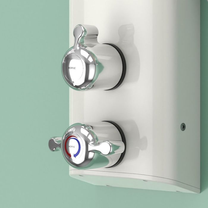 Horne TSV1 shower (dual mode) with lever controls and manually operated flow diverter