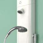 Horne TSV1 shower (dual mode) with ligature resistant controls and automatic flow diverter