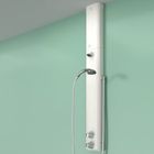 Horne TSV1 shower (dual mode) with ligature resistant controls and automatic flow diverter
