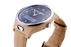 Companion Watch