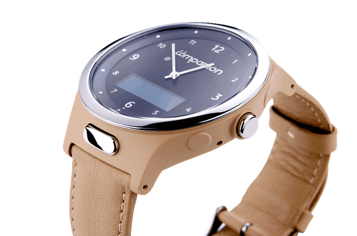 Companion Watch