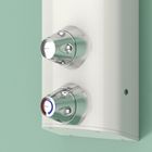 Horne Dual-Mode Ligature-Resistant Shower Panel