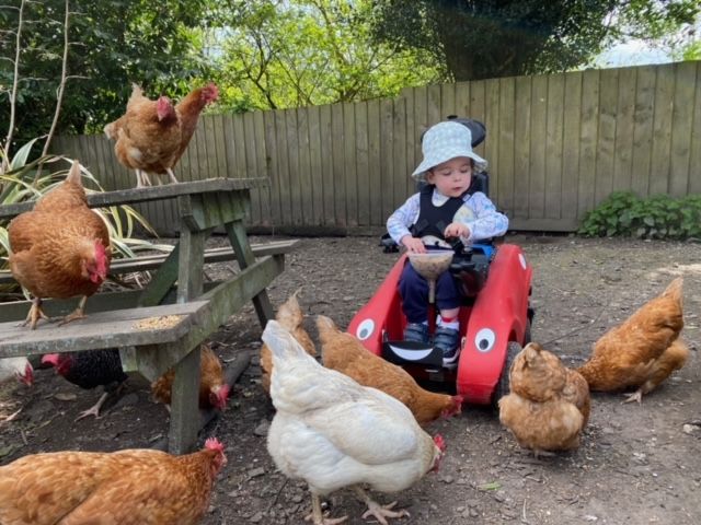 Wizzybug Powered Wheelchair