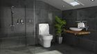 Closomat Palma Vita (wash/dry WC)