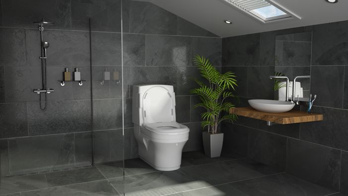 Closomat Palma Vita (wash/dry WC)