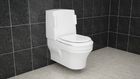 Closomat Lima Vita (wash/dry WC)