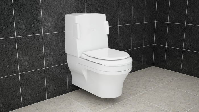 Closomat Lima Vita (wash/dry WC)