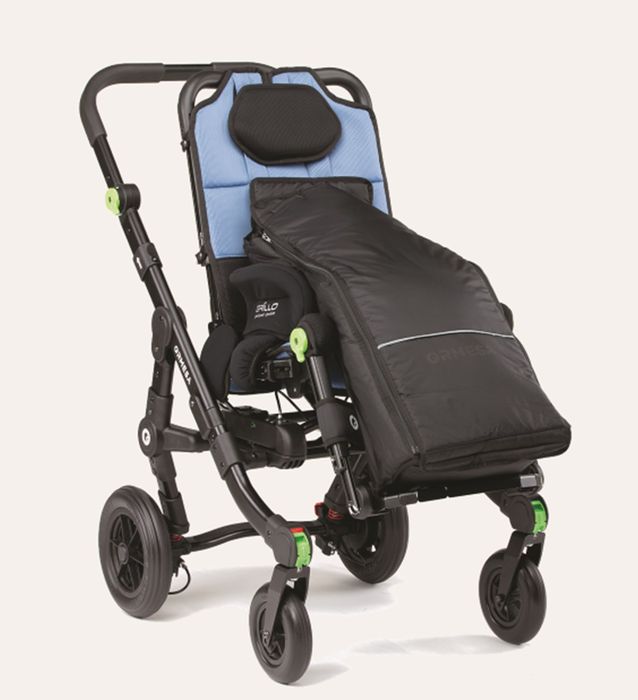 GPS Buggy System