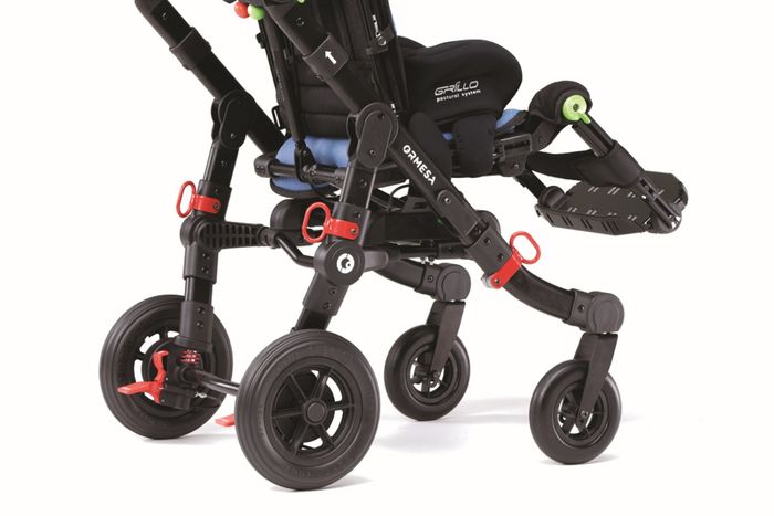 GPS Buggy System