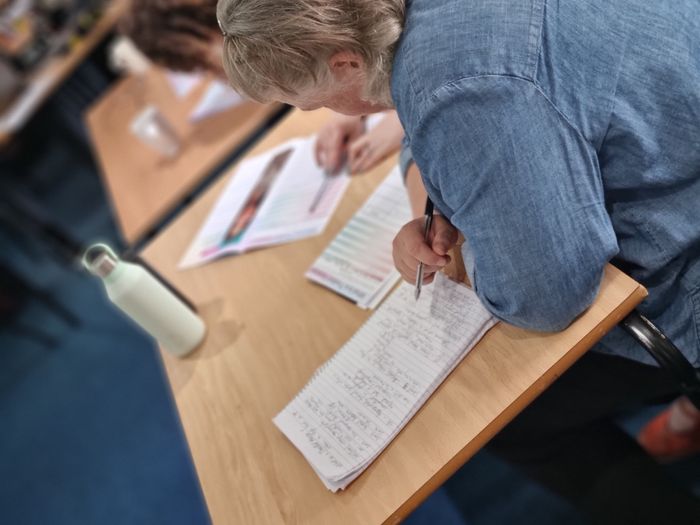 Trusted Assessor: Assessing for Minor Adaptations (level three)