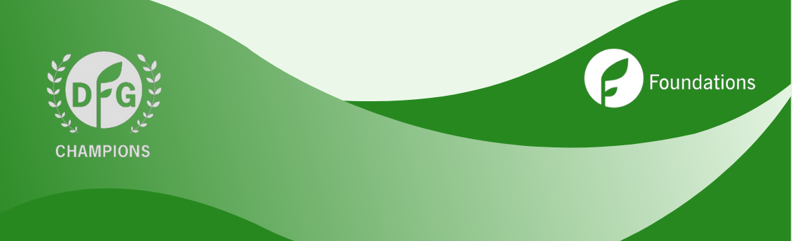 Foundations