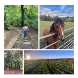 Reconnecting with Nature: Bennu Ward’s Green Walking Group at Cygnet Hospital Wyke
