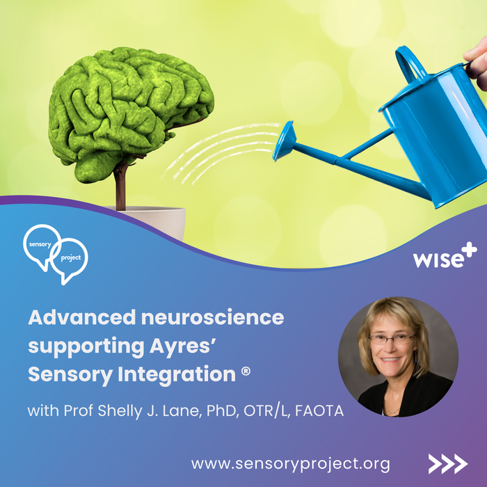 Workshop | Advanced Neuroscience Supporting Ayres’ Sensory Integration – Dr Shelly J. Lane 