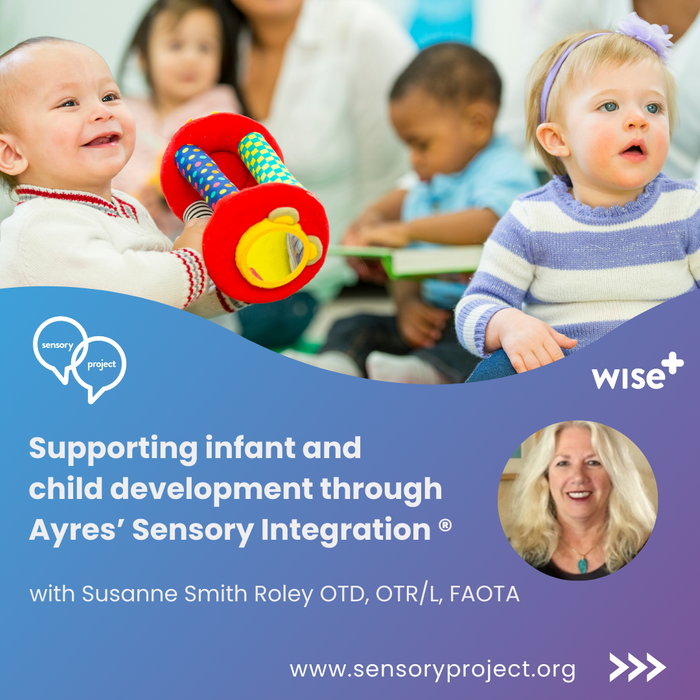 Understanding Sensory Integration in the Earliest Years: Our New Workshop