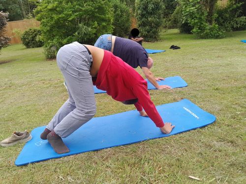 Inside Social Care: How an Innovative Yoga Programme is Transforming Daily Life for Adults with Learning Disabilities and Autism