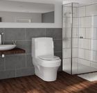 Closomat Palma Vita Wash/Dry Toilet