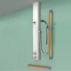 Accessible / Inclusive Design HORNE Dual-Mode Shower Panel