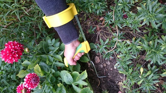 Gardening with Disabilities