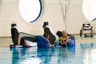 Poolpod 3.0
