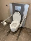Toilet lifters