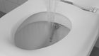Closomat Palma Vita wash/dry toilet