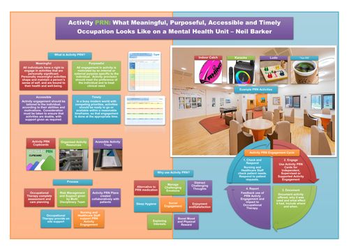 Activity PRN: What Meaningful, Purposeful, Accessible and Timely Occupation Looks Like on a Mental Health Unit