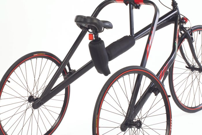 Biko Adaptive Tricycle