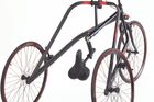 Biko Adaptive Tricycle